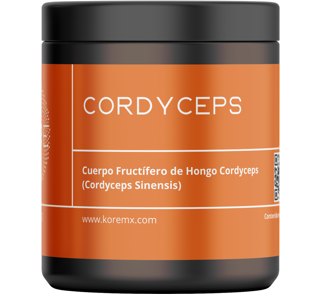 Cordyceps frasco extracto 50g