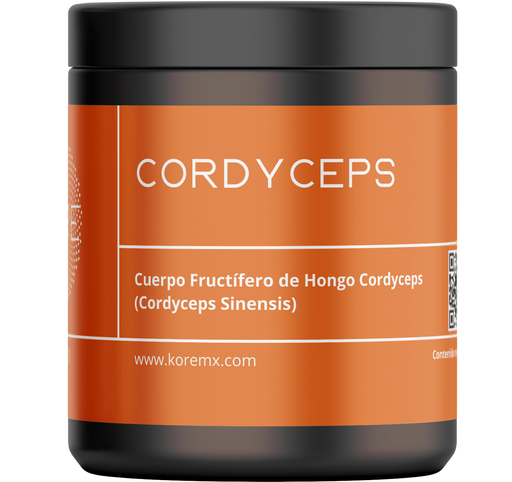 Cordyceps frasco extracto 50g